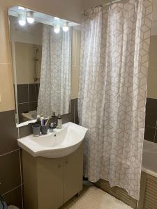 a bathroom with a sink and a shower curtain at F2 St Denis Jardin d'état in Saint-Denis