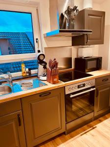 een keuken met een wastafel en een fornuis top oven bij Apartments Alina in Rust