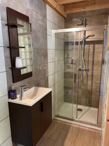 une salle de bain avec douche et lavabo dans l'établissement La Gardette, à Le Freney-dʼOisans 12 autres photos