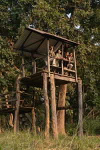 a group of people sitting on top of a tree house at Kasara Chitwan in Chitwan