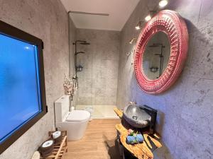 baño con aseo y espejo en la pared en Casa Entre Molinos en Consuegra