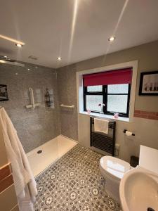 een badkamer met een douche, een toilet en een wastafel bij Oaklodge House in Leyburn