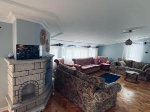 ein Wohnzimmer mit einem Sofa und einem Kamin in der Unterkunft Luxury PentHouse İn Antalya in Antalya