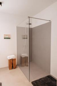 cabina de ducha de cristal en una habitación blanca en Wohnen am Flussufer - AM WASSER COMFORT en Kaindorf an der Sulm