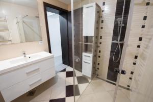 a bathroom with a sink and a shower at Apartma Katja in Škofja Loka