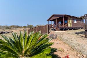 a house with a palm tree in front of it at Abendruhe Lodge in Pretoria