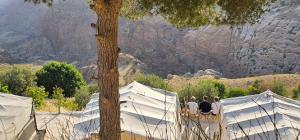 a group of three people standing inside of tents at Dana Village Camp-Wadi Dana Eco camp in Dana
