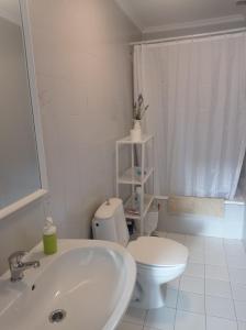 ein weißes Bad mit einem WC und einem Waschbecken in der Unterkunft Ribeira Sacra 2 O Saviñao in Villasante