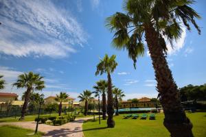 a group of palm trees in a park at Marina del Marchese Beach Resort in Botricello