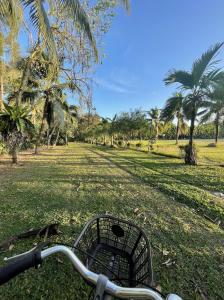 una bicicleta estacionada en un parque con palmeras en Sawasdee Lagoon Camping Resort en Ban Lam Pi