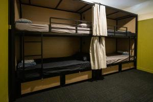 een kamer met 3 stapelbedden in een kamer bij Base Camp Hostel in Adelaide