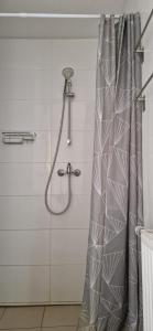 a shower with a shower curtain in a bathroom at Haus Mitterfeld in Kasten bei Böheimkirchen