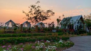 a group of tents in a field with flowers at กลิ่นไอทุ่งโฮมสเตย์ in Ban Thum