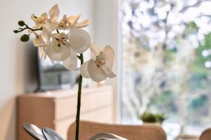 a vase with white flowers in front of a window at Apart jardines San Vicente in Madrid