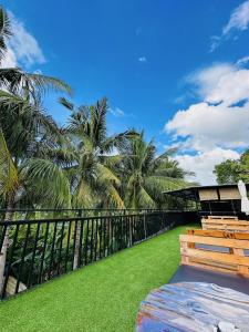 a balcony with a fence and grass and palm trees at Pig Dive Hostel Moalboal in Moalboal