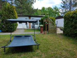 a picnic table in the grass in a yard at NEU! See-Ferienwohnung 4 in Großmöhlau