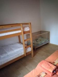 een slaapkamer met 2 stapelbedden en een wieg bij NEU! See-Ferienwohnung 4 in Großmöhlau