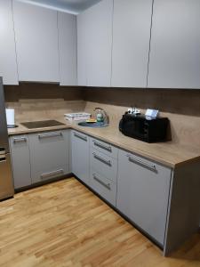 Ett kök eller pentry på 4P Apartamentai prie PC Molas