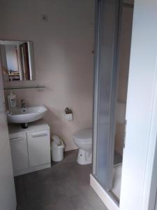 a bathroom with a toilet and a sink and a shower at NEU! See-Ferienwohnung 1 in Großmöhlau