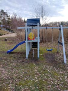 un parco giochi con altalena incastonata nell'erba di NEU! See-Ferienwohnung 3 a Großmöhlau