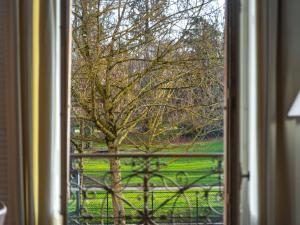 Blick auf einen Baum aus dem Fenster in der Unterkunft Le chic d'Adam in Nancy