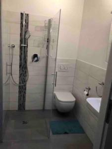 a bathroom with a shower and a toilet and a sink at Ferienwohnung mit Blick auf den Feldberg in Weilmünster +7 photos