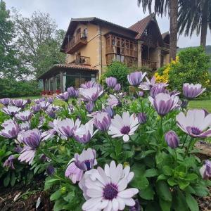 Posada Los Lienzos في Vargas: حديقة بها زهور أرجوانية وبيضاء أمام المنزل