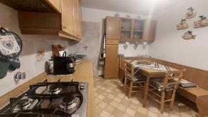 Kuchyňa alebo kuchynka v ubytovaní Le Rondini di Casa Bernardi, sole e natura sulle Dolomiti Wi-Fi PetFriendly