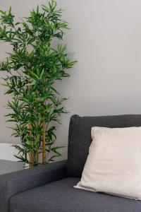 een bank met een kussen naast een plant bij Hypercentre -Apartment in pedestrian zone in Lille