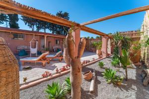 a patio with a cactus and a palm tree at Onar Villa Kolympia in Kolymbia