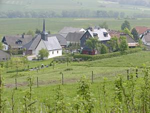 ein kleines Dorf mit einer Kirche auf einem grünen Feld in der Unterkunft Ferienwohnung Meisenthal nähe Nürburgring in Kelberg