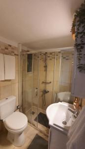 uma casa de banho com um chuveiro, um WC e um lavatório. em Sea side apartment em Loutraki