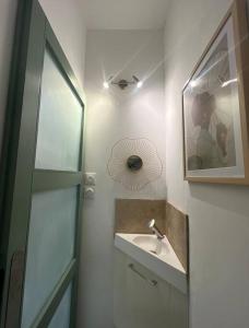 uma casa de banho com um lavatório e um espelho em Appart 1 chambre intra-muros avec JARDIN em Avignon