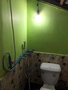 a bathroom with a toilet and a green wall at New Happy Elephant Bungalows 