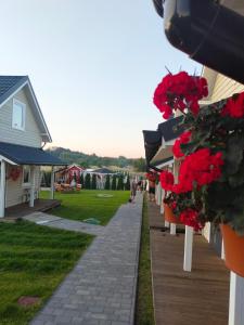 Domki 7 Houses Rewal في ريفال: مجموعة من المنازل مع الزهور الحمراء على الرصيف