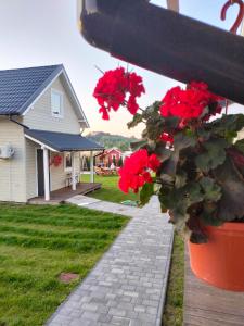 um vaso de plantas com flores vermelhas em frente a uma casa em Domki 7 Houses Rewal em Rewal