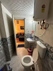 加濟阿巴德的住宿－Royal Ambience，一间带卫生间和水槽的小浴室
