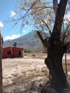 a tree and a red building in the middle of a field at CABAÑAS RIVIERA in Huacalera