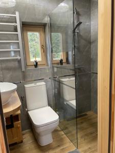 a bathroom with a toilet and a glass shower at Domek pod lasem in Klikuszowa