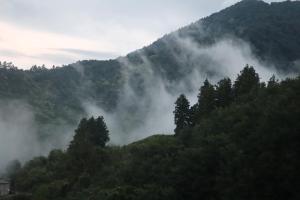 Priroda u blizini vikendice