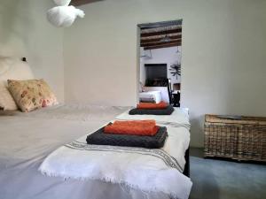 - une chambre avec 2 lits et un miroir dans l'établissement Bailey's Riverside Cottage - Go Green!, à Calitzdorp