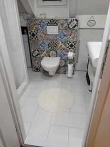 DAMI 2 في توزلا: حمام صغير مع مرحاض ومغسلة