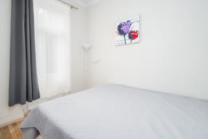 Fotografie z fotogalerie ubytování Apartment Puchsbaumgasse ve Vídni