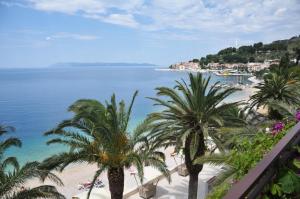 a view of a beach with palm trees and the ocean at Villa DELFINA 2 in Podgora