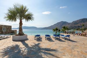 eine Gruppe Stühle und eine Palme neben dem Wasser in der Unterkunft Arte Suites Pefki in Pefki Rhodes