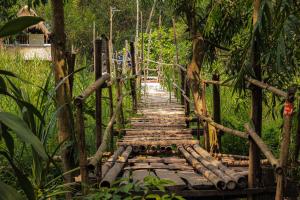 San FelipeにあるRiverback Sanctuaryの森の中の木橋