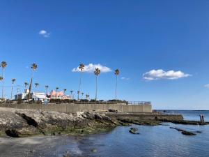a beach with palm trees and the ocean on a clear day at ocean blue mint海まで３分! 南房総最南端の１棟まるごと貸別荘 in Hongō