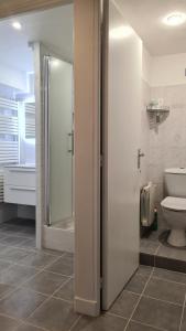 ein Badezimmer mit Dusche und Toilette in der Unterkunft Le Malpas Woodpecker in Belvès + 35 Fotos