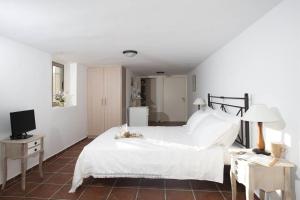 a bedroom with a white bed and a television at Poliana Estate Studios in Kotrónion