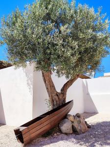 un albero davanti a un muro bianco con una panchina sotto di Peanut's House a Kremasti